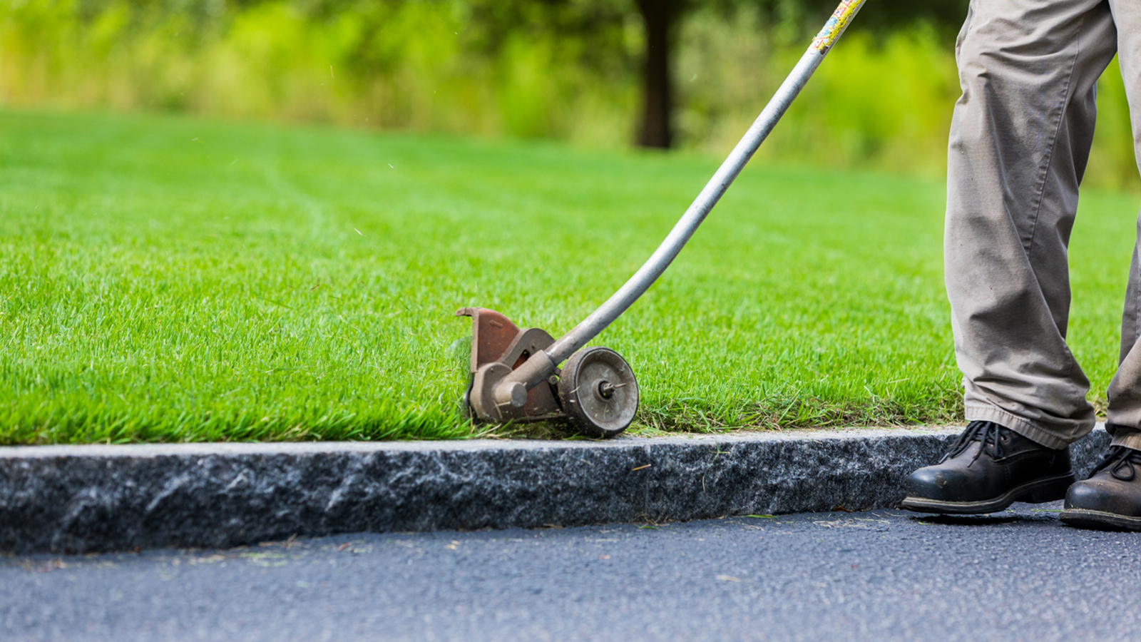 Lawn Maintenance Services in South Carolina 7