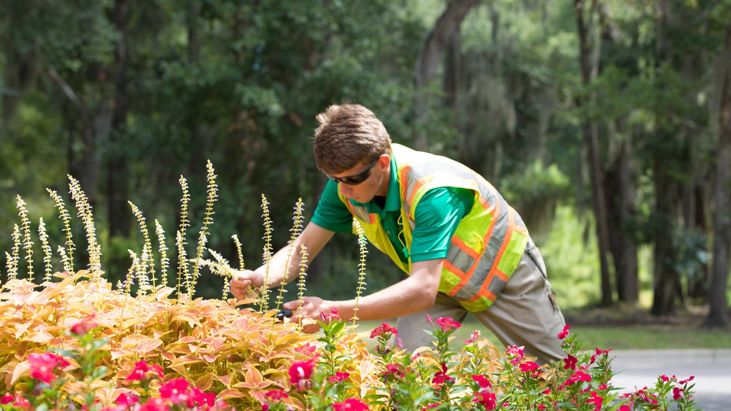 Commercial-Landscaping-and-Flowers